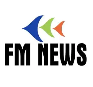 FM News, logo