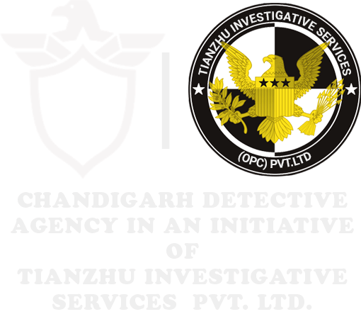 Chandigarh detective agency is initiative of Tianzhu investigative services pvt.ltd, brand logo